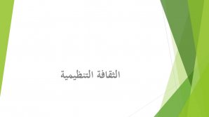 محاضرة الثقافة التنظيمية